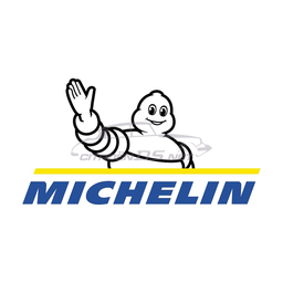 Michelin Lastikleri
